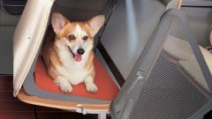 Gallery - immagine #36