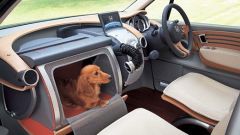 Gallery - immagine #37