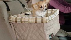 Gallery - immagine #45