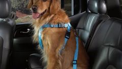 Gallery - immagine #44