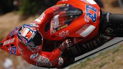 Gallery - immagine 8#