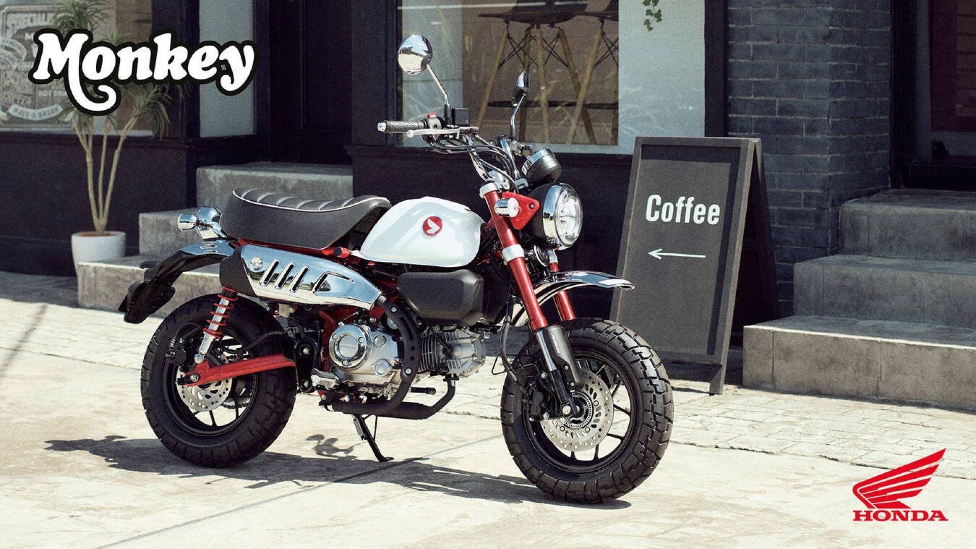 Honda Dax, Monkey e Super Cub C125: le novità dei modelli 2025