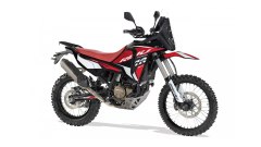 Aventura Rally 307