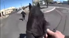 Video POV: ad Albuquerque poliziotto insegue il ladro a cavallo
