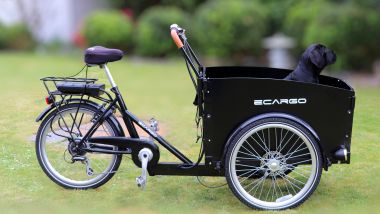 Anche una cargo-bike elettrica può rientrare nella categoria dei velocipedi