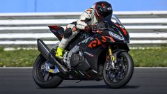 Gallery - immagine 6#