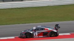 Gallery - immagine 3#