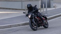 Gallery - immagine 2#