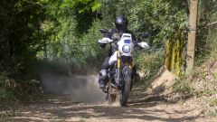 Gallery - immagine 3#