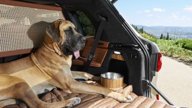 BMW X7 by Poldo Dog Couture: lo spazio dietro per i cani più grandi
