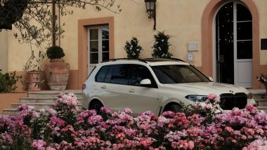 BMW X7 by Poldo Dog Couture, one-off di lusso per i cani