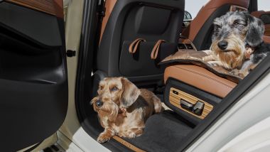 BMW X7 by Poldo Dog Couture: viaggio nel lusso per Poldo e Camilla