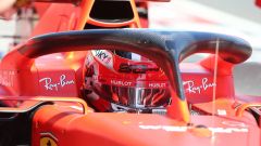 F1 Gp Bahrain 2019 – LIVE PL1: Leclerc-Vettel, Ferrari al top