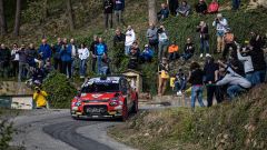 Rally Alba Regione Piemonte 2023: cronaca, aggiornamenti e risultati