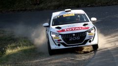 208 Rally 4, buona la prima: Al Ciocco domina Andreucci