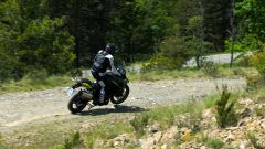 Gallery - immagine 7#