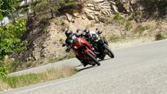 Gallery - immagine 5#