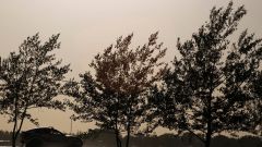 Gallery - immagine #60