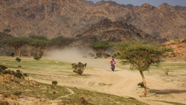 Dakar 2023: Daniel Sanders (GasGas) | Foto: A.S.O.