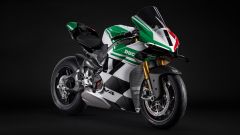 Gallery - immagine 2#