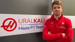 Shwartzman, il baby Ferrari guiderà la Haas a Abu Dhabi