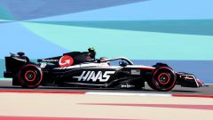 Team Formula 1 2023: Haas F1 