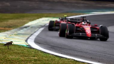 F1 GP Brasile 2022, Interlagos: Charles Leclerc e Carlos Sainz (Scuderia Ferrari) in pista 