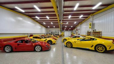 Ferrari Enzo: alcuni modelli della collezione Phil Bachman