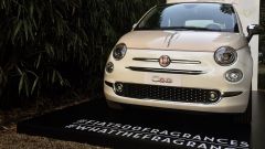 Fiat 500 fragrances: il mitico cinquino ispira un profumo di Perfume Holding