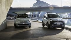 Fiat Panda e Fiat 500 mild hybrid: motori, prezzi, video