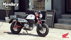 Honda Dax, Monkey e Super Cub C125 2025: novità e colori