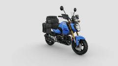 Honda MSX125 Grom 2025: colori, versioni, accessori, prezzo