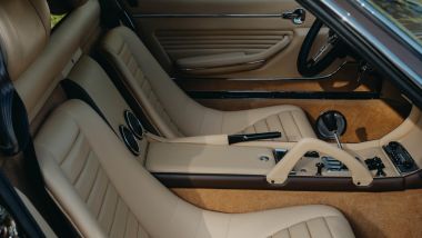 I caratteristici interni color Senape