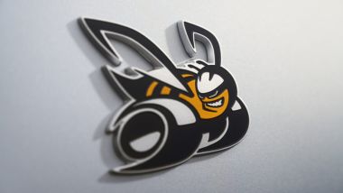 Il caratteristico logo dell'ape ''racing''