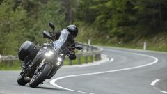 Gallery - immagine 2#