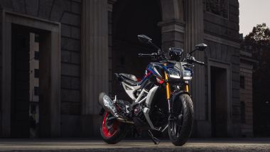 Intervista TVS Motor Italia: la naked RTR 310 con 35,6 CV e 28,7 Nm di coppia