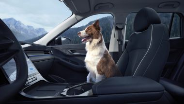 Jaecoo 5, interni a prova di Fido