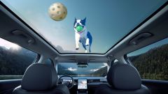 Gallery - immagine 7#