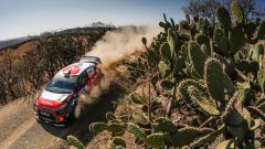 WRC 2018, Rally Messico: la Citroen C3 WRC vola con Meeke