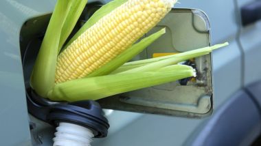 La raffinazione dei biocarburanti più sporca del petrolio, dice Reuters