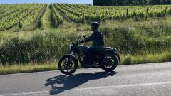 Gallery - immagine 3#