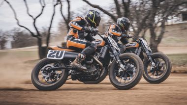 Le Harley-Davidson da flat track fianco a fianco