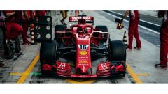 F1 2019, Leclerc e il titolo al debutto in Ferrari. I bookmakers dicono che...