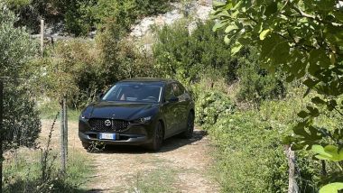 Mazda CX-30 e-skyactiv X: perdersi fra vigneti e uliveti autoctoni, cosa volere di più?