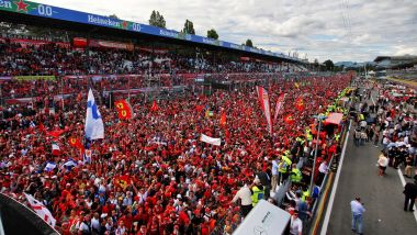 Monza, GP d'Italia 2019, la folla festeggia la vittoria di Charles Leclerc (Ferrari)