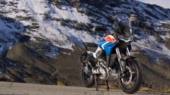 Stelvio Duecento Tributo: limited edition Moto Guzzi a EICMA 2024