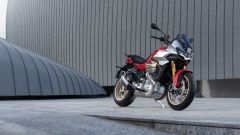 Gallery - immagine 7#