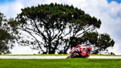 MotoGP Australia 2023, come lo seguo in tv? Orari Sky, Tv8 e NOW