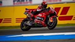 Gallery - immagine 6#