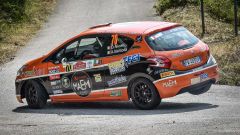 Rally del Friuli: riparte la sfida del Peugeot 208 Rally Cup Top